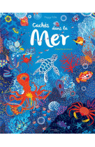 Caches dans la mer - cherche et trouve