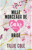 Mille baisers pour un garcon - t02 - mille morceaux de coeur brise