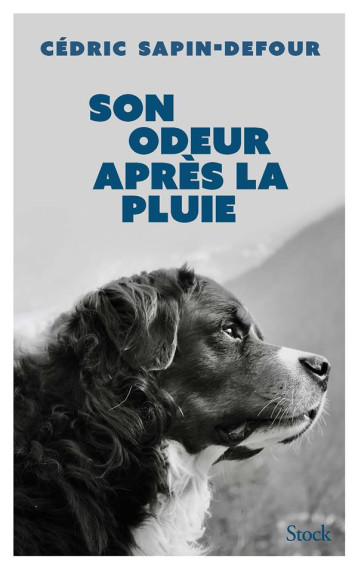 SON ODEUR APRES LA PLUIE - SAPIN-DEFOUR CEDRIC - STOCK SON ODEUR APRES LA PLUIE - SAPIN-DEFOUR CEDRIC - STOCK