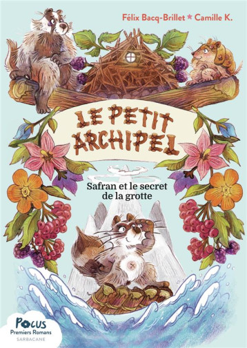 LE PETIT ARCHIPEL - T01 - SAFRAN ET LE SECRET DE LA GROTTE - BACQ/K. - SARBACANE LE PETIT ARCHIPEL - T01 - SAFRAN ET LE SECRET DE LA GROTTE - BACQ/K. - SARBACANE