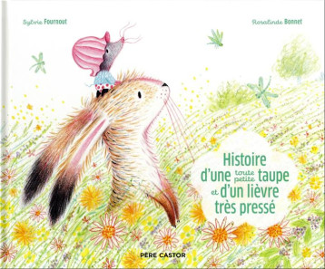 HISTOIRE D-UNE TOUTE PETITE TAUPE ET D-UN LIEVRE TRES PRESSE - FOURNOUT/BONNET - FLAMMARION HISTOIRE D-UNE TOUTE PETITE TAUPE ET D-UN LIEVRE TRES PRESSE - FOURNOUT/BONNET - FLAMMARION