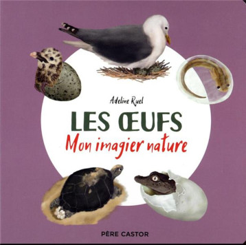 LES OEUFS - MON IMAGIER NATURE - RUEL ADELINE - FLAMMARION LES OEUFS - MON IMAGIER NATURE - RUEL ADELINE - FLAMMARION