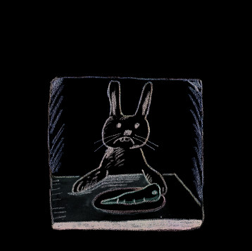 BON APPETIT ! MONSIEUR LAPIN (TOUT CARTON) - CLAUDE BOUJON - EDL BON APPETIT ! MONSIEUR LAPIN (TOUT CARTON) - CLAUDE BOUJON - EDL