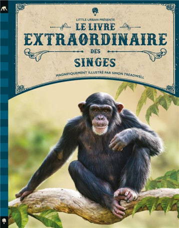 LE LIVRE EXTRAORDINAIRE DES SINGES - TAYLOR BARBARA - LITTLE URBAN LE LIVRE EXTRAORDINAIRE DES SINGES - TAYLOR BARBARA - LITTLE URBAN