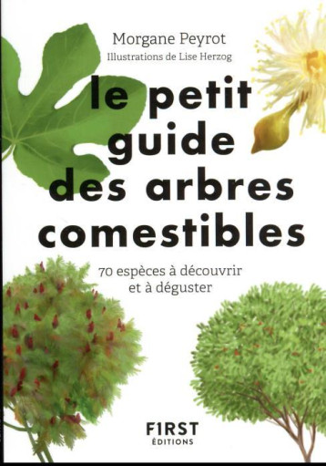 PETIT GUIDE DES ARBRES COMESTIBLES - PEYROT/HERZOG - FIRST PETIT GUIDE DES ARBRES COMESTIBLES - PEYROT/HERZOG - FIRST