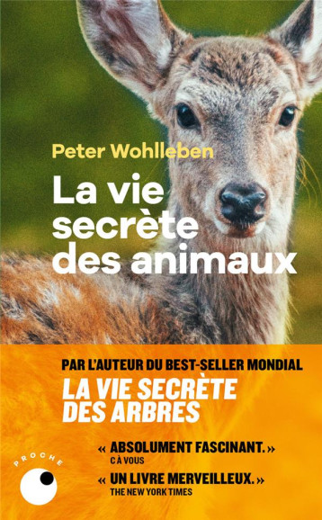 LA VIE SECRETE DES ANIMAUX - WOHLLEBEN PETER - BLACKLEPHANT LA VIE SECRETE DES ANIMAUX - WOHLLEBEN PETER - BLACKLEPHANT