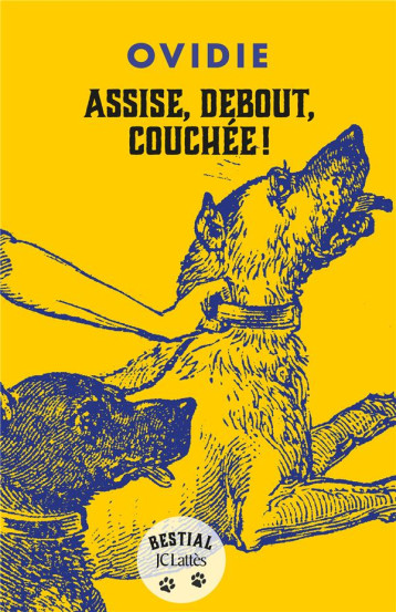 ASSISE, DEBOUT, COUCHEE - OVIDIE - CERF ASSISE, DEBOUT, COUCHEE - OVIDIE - CERF