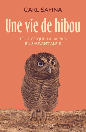 Une vie de hibou - Safina carl - BUCHET CHASTEL Une vie de hibou - Safina carl - BUCHET CHASTEL